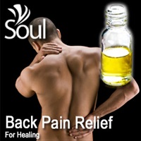 Essential Oil Back Pain Relief - 50ml - Click Image to Close