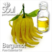 Pure Essential Oil Bergamot - 50ml - Click Image to Close