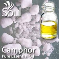 Pure Essential Oil Camphor - 50ml - Click Image to Close