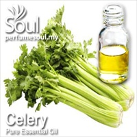 Pure Essential Oil Celery - 10ml - Click Image to Close