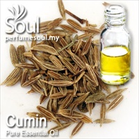 Pure Essential Oil Cumin - 50ml - Click Image to Close