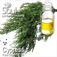 Pure Essential Oil Cypress - 50ml - Click Image to Close