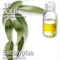 Natural Aroma Oil Eucalyptus - 50ml - Click Image to Close