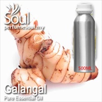 Pure Essential Oil Galangal - 500ml