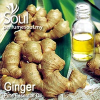 Pure Essential Oil Ginger - 10ml - Click Image to Close