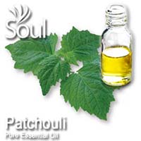 Pure Essential Oil Patchouli - 10ml - Click Image to Close