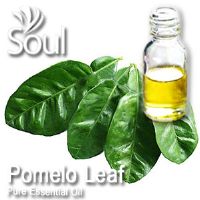 Pure Essential Oil Pomelo Leaf - 10ml - Click Image to Close