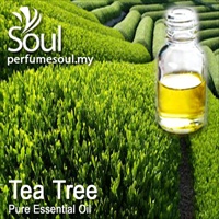 Pure Essential Oil Tea Tree - 50ml - Click Image to Close